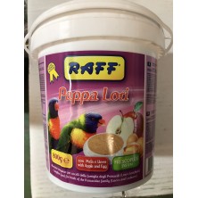 RAFF PAPPA LORI 800gr