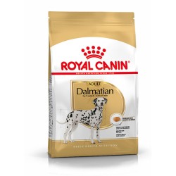 Royal Canin Pienso para Perro Dálmata