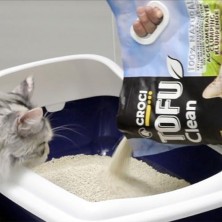 Croci Tofu Clean Litter 20L - Arena Aglomerante Para Gatos, Biodegradable, Descarga En El Inodoro, 100% Vegetal, Arena Antiolor